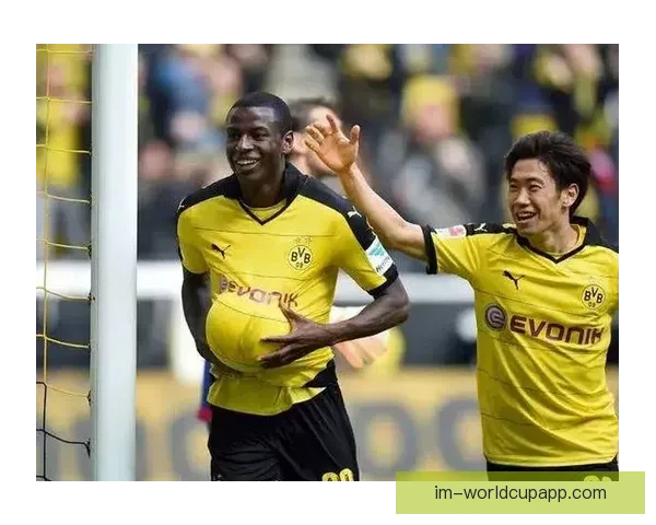 阿斯拉尼入多特引援关注名单 目前双方尚未展开接触